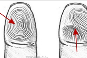 伸出你的拇指，看看你有沒有『拇指富貴紋』！千年難得一見的實貴紋，有此紋者必定富貴纏身，年年好運！