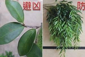 清明快到了! 掃墓該注意的「禁忌」還有怎麼「避凶防煞」，都幫你整理好了! 必收藏超實用!