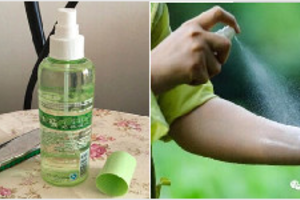 一罐防蚊液要200元沒想到「成本1塊錢」就能做出來？教你自製孕婦小孩都能用的驅蚊水！