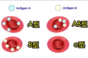 準翻了！什麼血型的人易得什麼病，原來這一切都是命中註定！