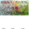 12月3日  六合  如魚得水  黑白報報