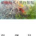 3月12日  六合  如魚得水  黑白報報