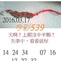 3月17日  今彩539 參考號碼