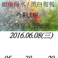 6月8日 今彩539 如魚得水 黑白報報