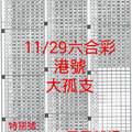 11月29日六合彩港號大孤支