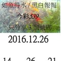 12月26日 今彩539如魚得水，黑白報報