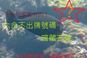 12月24日 六合不出牌號碼，暗藏玄機 (六中幾星？)