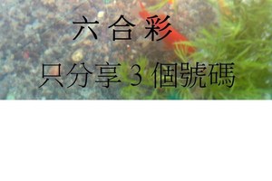 12月26日  六合  如魚得水  黑白報報