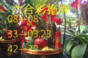 12月29日 六合彩拖牌 (五球中幾星？)