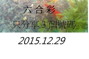 12月29日  六合  如魚得水  黑白報報