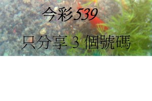 3月12日  今彩539  如魚得水  黑白報報