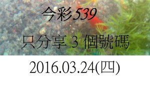 3月24日  今彩539  如魚得水  黑白報報