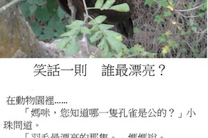 笑話一則  誰最漂亮？