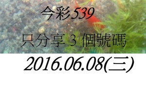 6月8日 今彩539 如魚得水 黑白報報