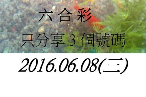 6月8日 六合彩 如魚得水 黑白報報