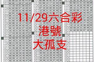 11月29日六合彩港號大孤支