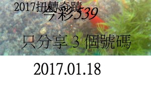 1月18日 今彩539如魚得水，黑白報報