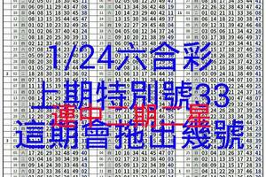 1月24日六合彩上期特別號33，這期會拖出幾號呢？(連中二期二星)