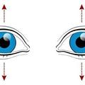 10種隨時隨地都能做的「護眼運動」，只要幾分鐘就能「讓眼球重開機」！