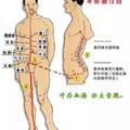 任脈、督脈、衝脈、帶脈，四脈解析