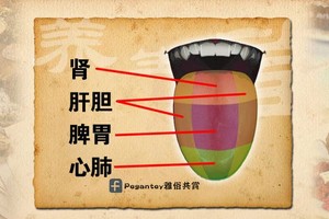 教大家觀手辨舌識健康