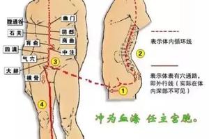 任脈、督脈、衝脈、帶脈，四脈解析