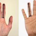 科學家研究發現男人的手指長度會影響對女人的疼愛，個性溫和還是粗暴都可以「一指瞭然」。