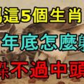 誰屬這5個生肖之一，今年底怎麼躲都躲不過中頭獎！上榜的快轉發！