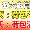 五大生肖，今天開始就是「數錢」的命！