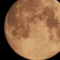 心理測試：4個月亮，哪個是畫出來的？秒測出誰會經常想你？