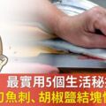 最實用5個生活秘技！秒去秋刀魚刺、胡椒鹽結塊快速回復