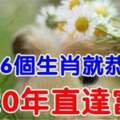 誰屬這6個生肖就恭喜了，2020年財運一飛衝天，直達富貴！