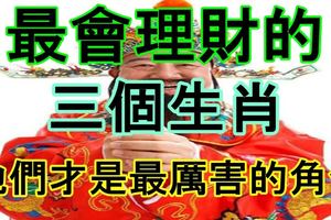 最會理財的三個生肖，他們才是最厲害的角色！