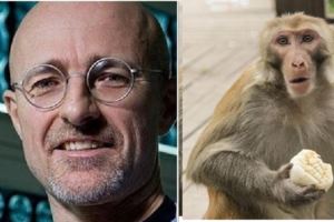 科學家宣布猴子換頭成功，這事你怎麼看？