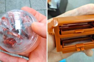 日本推出「空調扭蛋」拯救全球人類　一顆80元「吹了真的有涼」網實測：夏日救星！