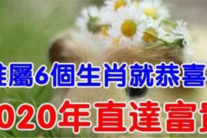 誰屬這6個生肖就恭喜了，2020年財運一飛衝天，直達富貴！