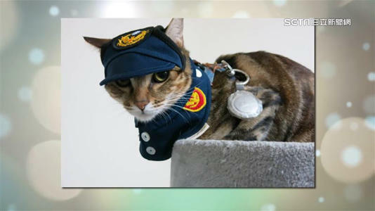 獲救浪貓警所long stay!一年後升格吉祥物 獲頒「專屬制服」萌樣曝 獲救浪貓警所long stay!一年後升格吉祥物 獲頒「專屬制服」萌樣曝