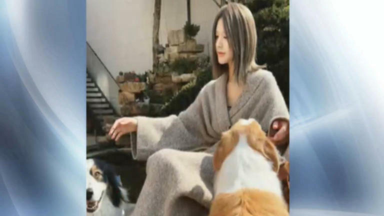 圖/翻攝自 趙露思 頻道 圖/翻攝自 趙露思 頻道