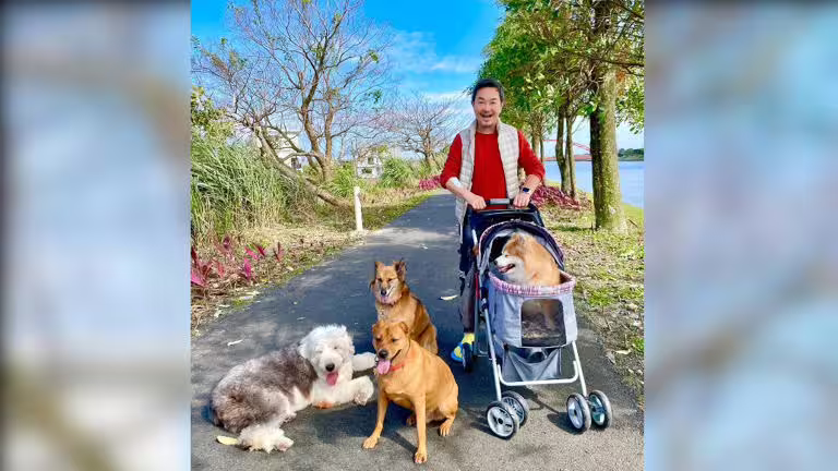 楊懷民對流浪犬視如己出十分有愛心。(圖/楊懷民提供) 楊懷民對流浪犬視如己出十分有愛心。(圖/楊懷民提供)