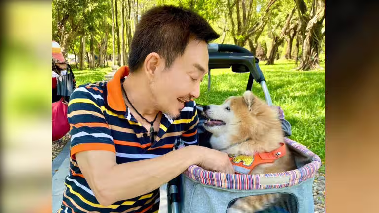 楊懷民為了照顧流浪犬甘願放棄演出機會很有愛心。(圖/楊懷民提供) 楊懷民為了照顧流浪犬甘願放棄演出機會很有愛心。(圖/楊懷民提供)