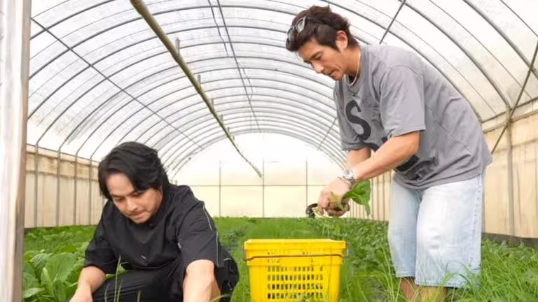 修杰楷(右)、楊銘威一起摘菜。(圖/《修TIME》提供) 修杰楷(右)、楊銘威一起摘菜。(圖/《修TIME》提供)
