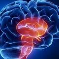 腦出血和腦溢血有什麼區別？頭部撞傷多久才能排除腦出血？