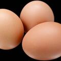 醫生闢謠：市場上已經出現人造雞蛋，成本只要1毛錢？別被忽悠了
