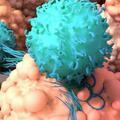 超強的T細胞：以最小的副作用對抗胰腺癌的新方法