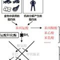 【婦產科普】新生兒「安檢」，護佑寶寶健康成長——高苯丙氨酸血症（HPA）