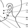 人體穴位圖及作用功效【完整版】