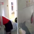 影／年輕妹裝監視器　驚見房東「進她房間」！下秒1行為她發毛報警