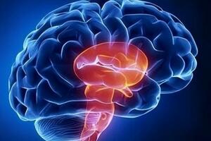 腦出血和腦溢血有什麼區別？頭部撞傷多久才能排除腦出血？