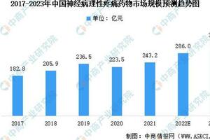 2023年中國神經病理性疼痛市場規模預測及市場競爭格局分析