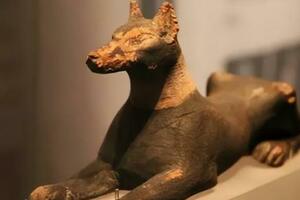 古埃及的狗：人類好朋友的起源